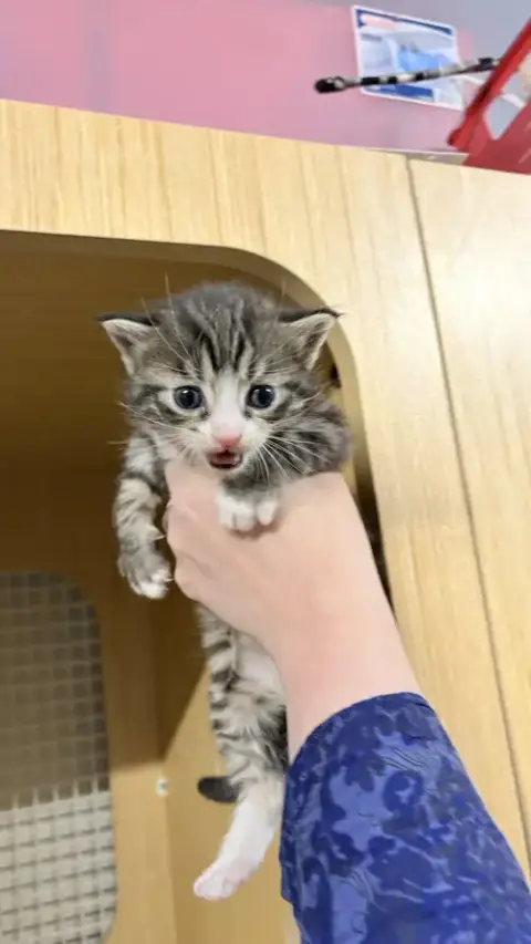Ajax