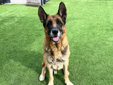 Kona
