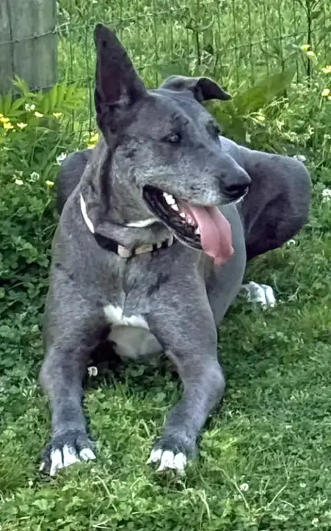 Roo photo 3