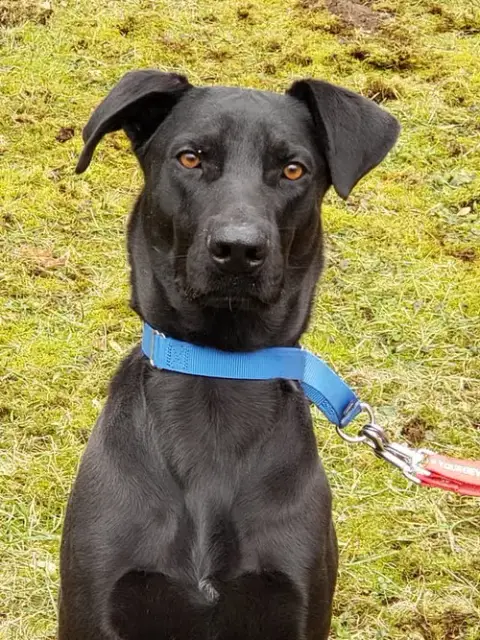 Buddy photo 2