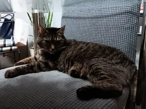 Elinor photo 2
