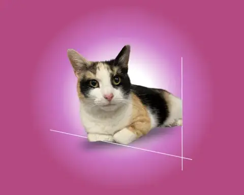 Eloise