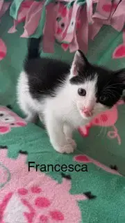 Francesca photo 2