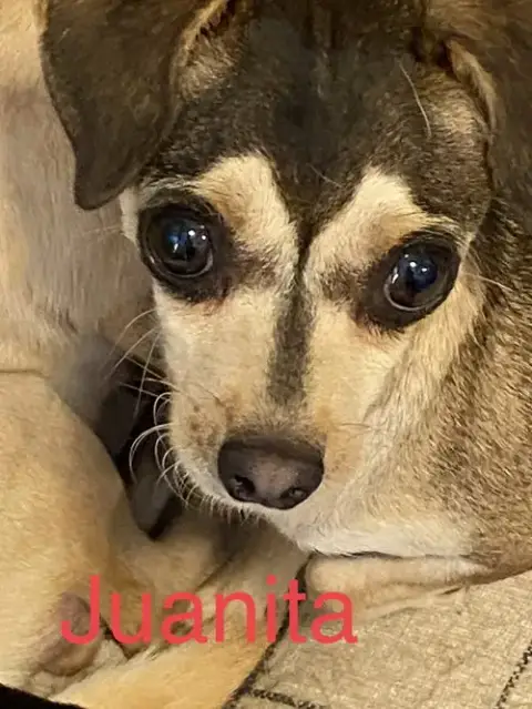Juanita photo 5