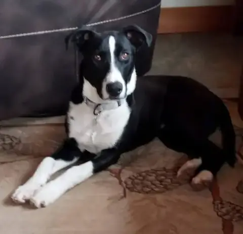 Duke