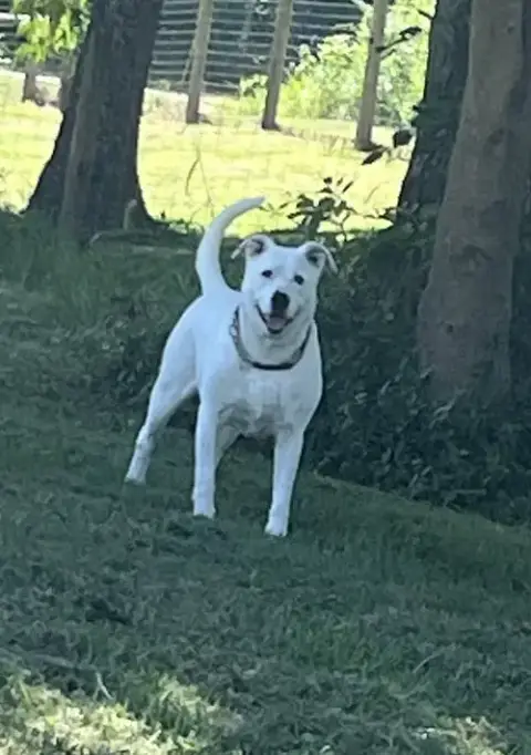 Ghost
