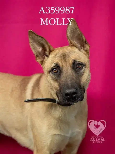 Molly
