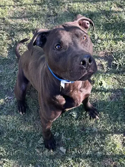 Doug