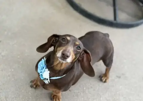 Molly