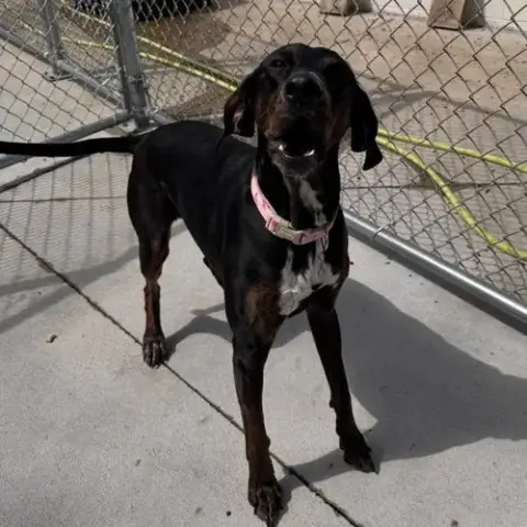 Maggie photo 3