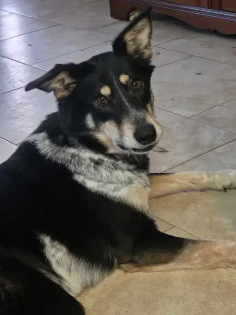Sunny photo 5