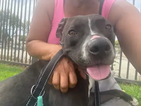 Nala photo 2