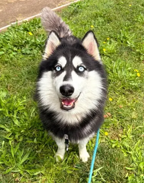 *Kai