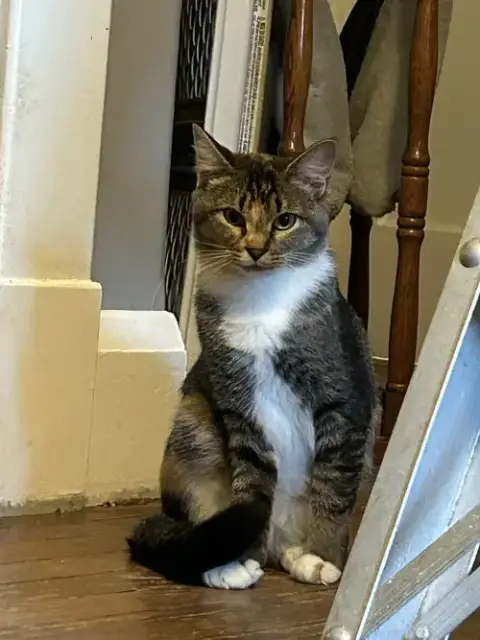 Buttercup Aka Blinkie photo 2
