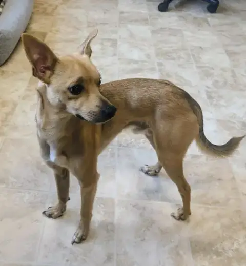 Milo photo 2