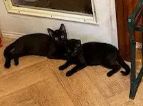 Melba W/Salem photo 2