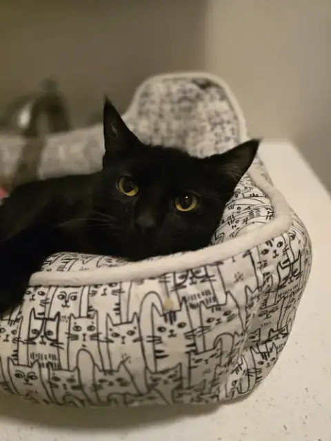 Frank
