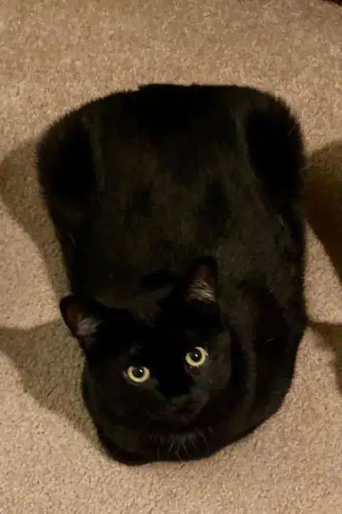 Eloise