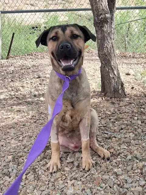 Carmelita