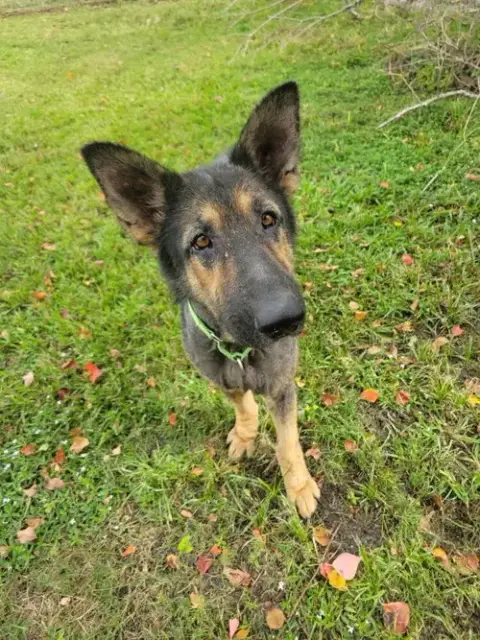 Paul Mccartney photo 4