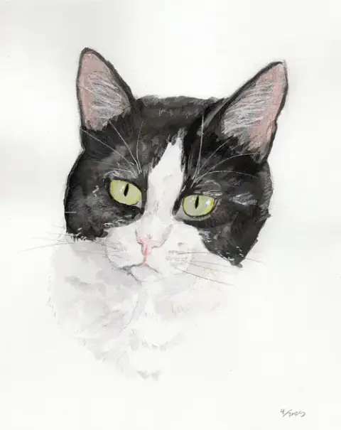 Oreo photo 3
