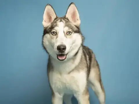 Skye