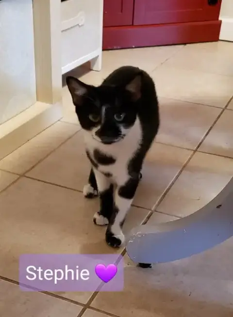 Stephie photo 3
