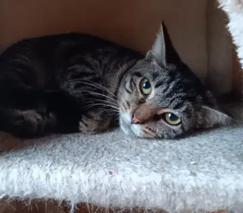 Sabrina