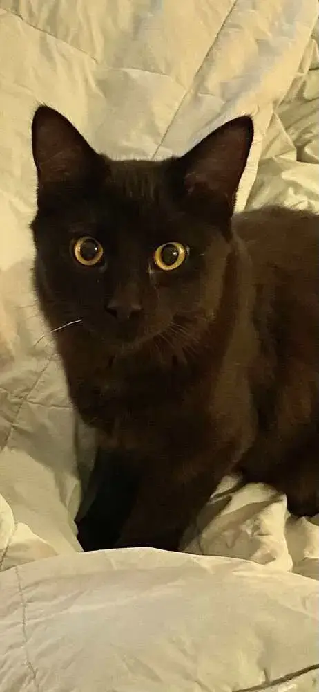 Gigi photo 2