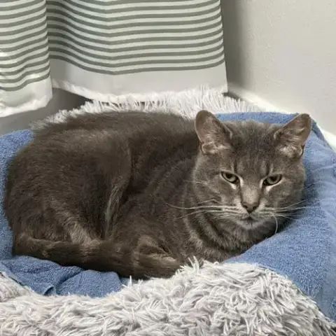 Finn photo 4