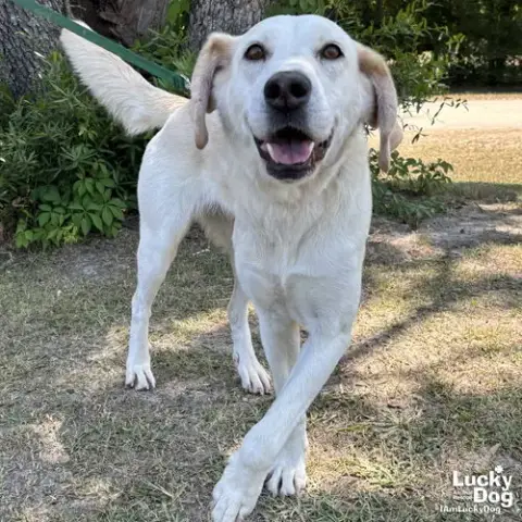 Bella