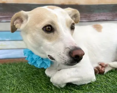 Addie photo 2