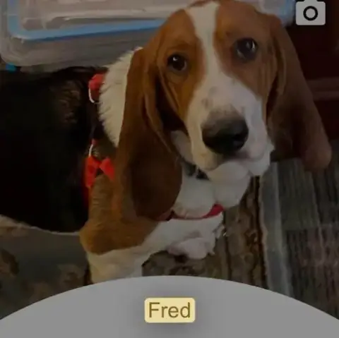 Fred
