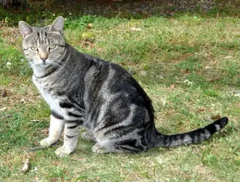 Kiki photo 4