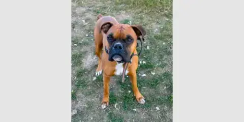 Duke