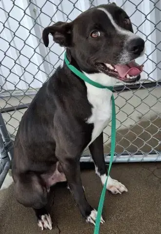 Max