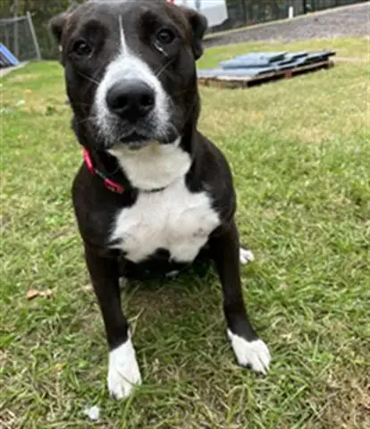 Murphy
