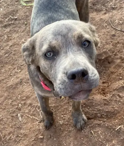 Ruby