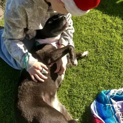 Stormie photo 3