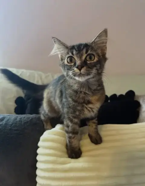 Winnie