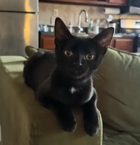 Peppercorn photo 3
