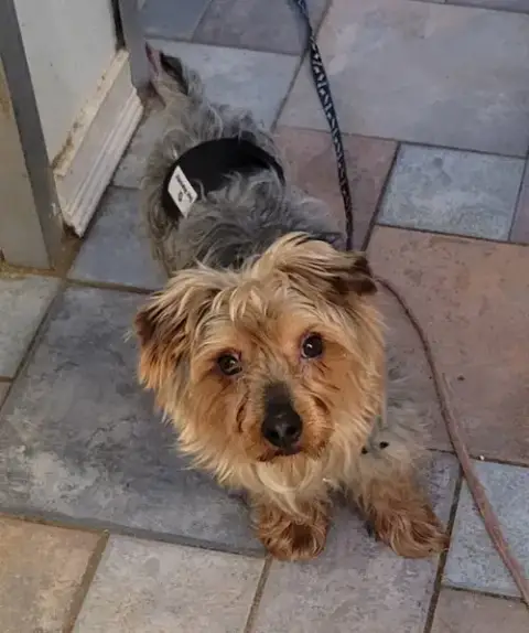Wally