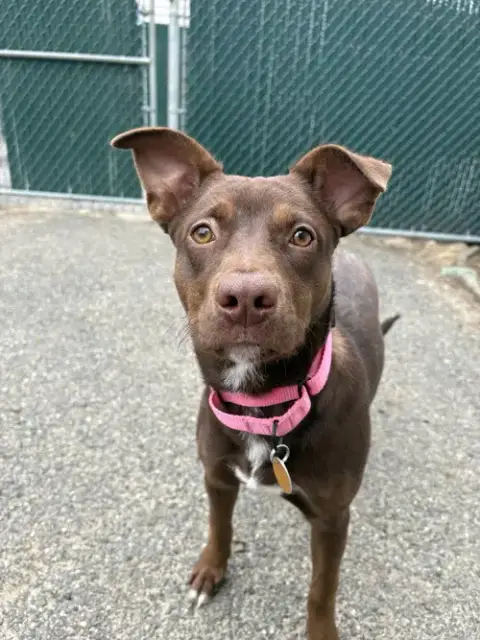 Lucy