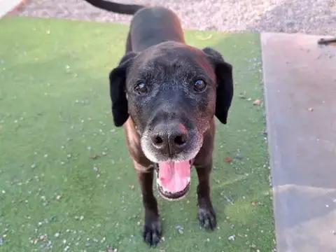 Edgar