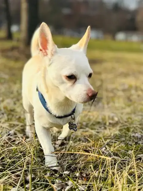 Casper And Tubbz photo 5