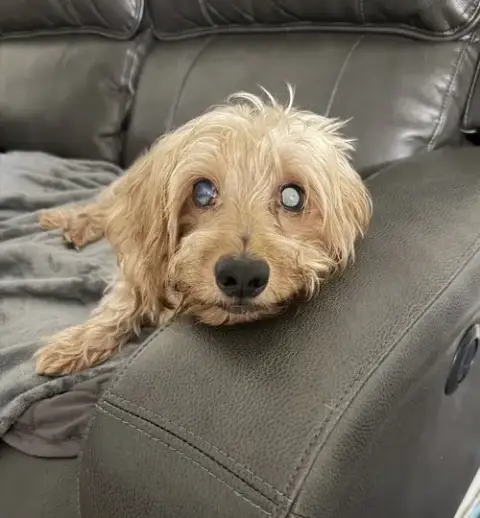 Sammy3
