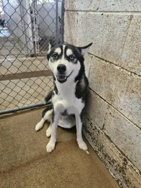 Mia