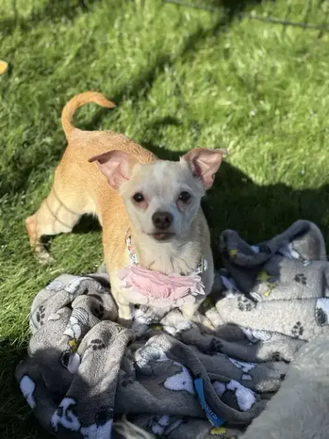 Ethel photo 2