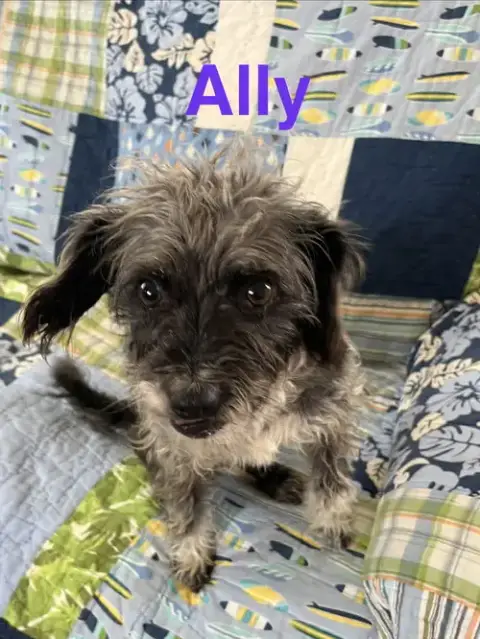 Aly photo 2