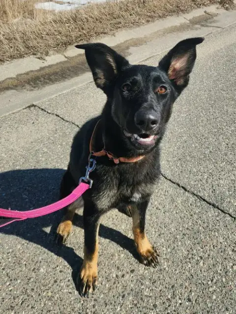 Winnie